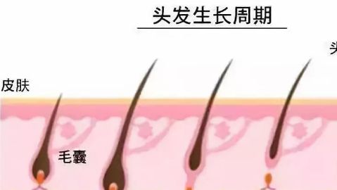 臨沂瑞麗美容醫(yī)院專業(yè)嗎？醫(yī)院的醫(yī)生水平如何？地址在哪？口碑怎樣？