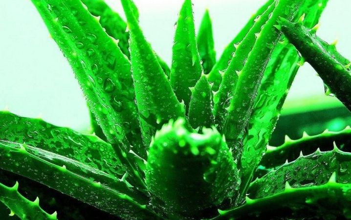 北京圣佳嘉新醫(yī)療美容怎么樣？北京圣佳嘉新醫(yī)療美容簡介|醫(yī)生團隊|口碑評價！