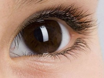 2023成都射頻溶脂減肥瘦肚子正規(guī)專家排行榜前十名(廖小川、凌霄志、王濤讓你美到極致！)