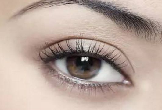 沈國雄醫(yī)生鼻形術(shù)：2023年度真實案例分析