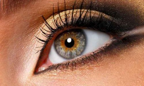 上海哪些醫(yī)生在脂肪填充領(lǐng)域具備卓越實(shí)力？排名前五公布，這些專家值得關(guān)注！