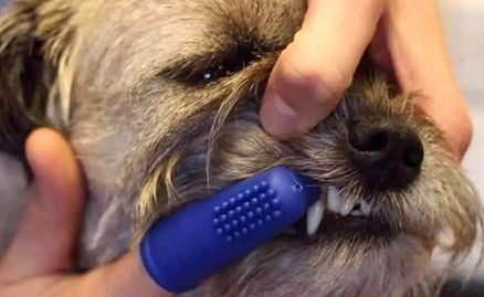 西安女子醫(yī)院醫(yī)美專家榜單，醫(yī)療精英不可錯過