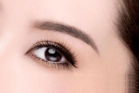 北京核工業(yè)醫(yī)院整形科評價如何？核心醫(yī)生解析_技術(shù)專長匯總為參考