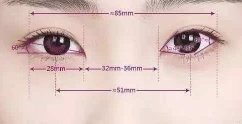 胸部不同尺寸和下垂如何解決？自身脂肪豐胸能夠增加乳房大小嗎？