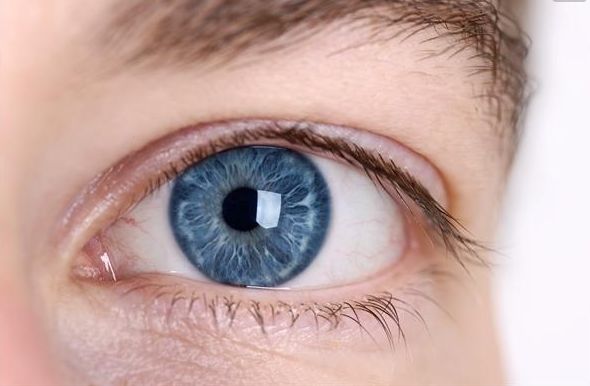 北京美萊王旭東，鼻部整形效果及價(jià)格解析