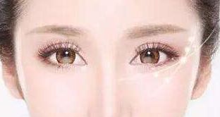 松修高壽—探索高壽松修復(fù)方案的價(jià)格揭秘！