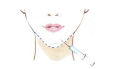 減脂瘦身錦囊：維持身材，享受美食的科學(xué)飲食指南