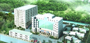 上海楊思醫(yī)院美容科