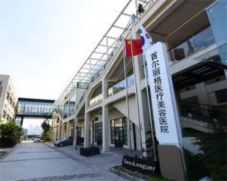 上海首爾麗格整形外科醫(yī)院