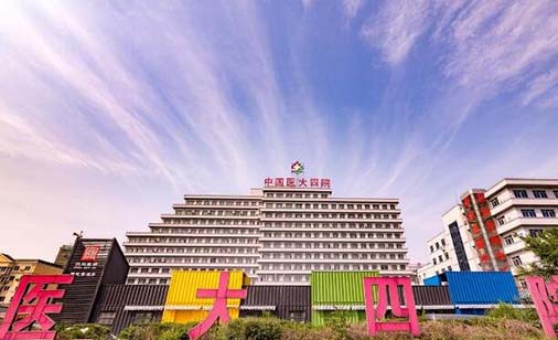 中國(guó)醫(yī)科大學(xué)附屬第四醫(yī)院(中國(guó)醫(yī)大四院)整形美容外科