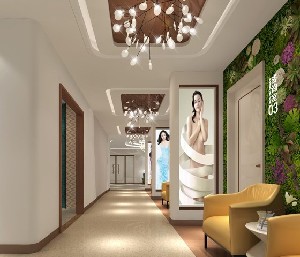 長沙美德思醫(yī)療美容有限公司