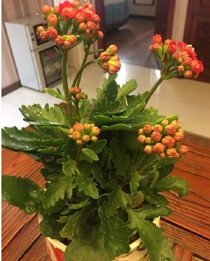 威海匯美軒醫(yī)療美容診所