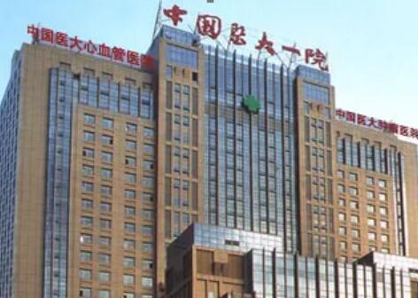 中國醫(yī)科大學(xué)附屬第一醫(yī)院(中國醫(yī)大一院)整形外科