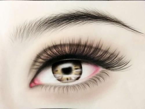 昆明隆鼻排行榜出爐！這些頂尖醫(yī)院力壓群雄！