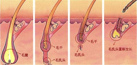 長春專業(yè)整形醫(yī)院大揭秘！公主玻尿酸匯總單來啦，top實力醫(yī)院盤點，盡攬新技術(shù)！讓你驚艷不止~超乎想象的收