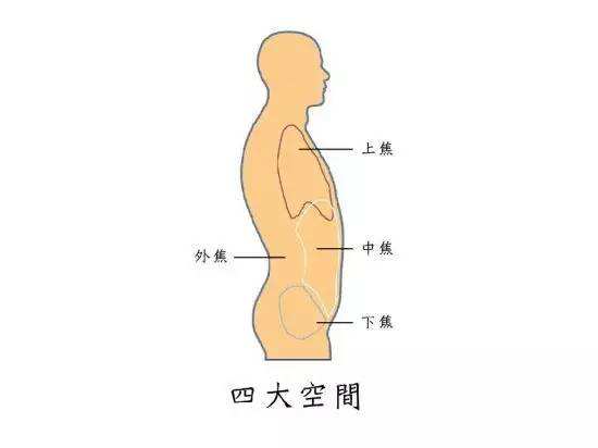 阜陽干細(xì)胞填充印第安紋醫(yī)生