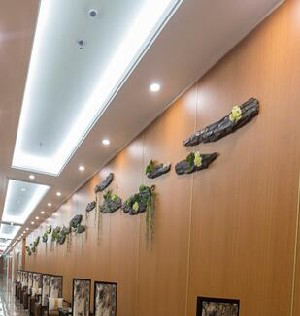 東北國(guó)際醫(yī)院整形美容再生醫(yī)學(xué)中心下頜角整形有什么風(fēng)險(xiǎn)？?jī)r(jià)格如何？