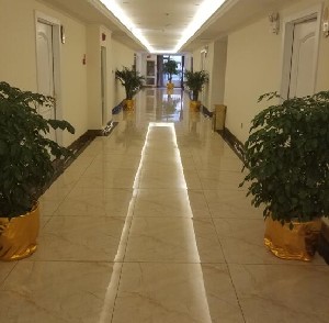 昭通愛麗諾醫(yī)療美容門診部