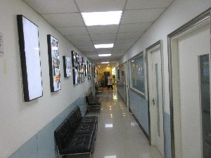 上海明珠醫(yī)院自體軟骨隆鼻有何優(yōu)勢？可以維持多久？