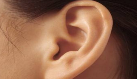 豐耳垂大概需要多少錢？