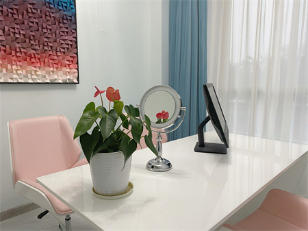 長(zhǎng)沙麗美泓愛(ài)伊莎貝爾醫(yī)療美容門(mén)診部_咨詢室