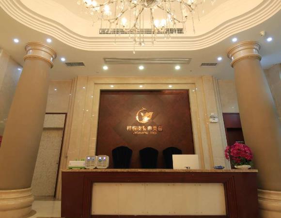 西安梧桐樹(shù)醫(yī)療美容門(mén)診部