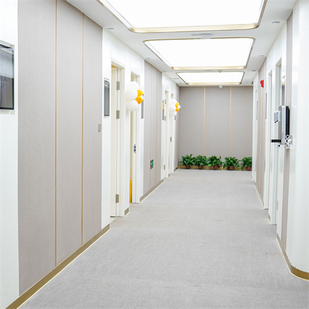 西安茹寶琴醫(yī)療美容診所_走廊