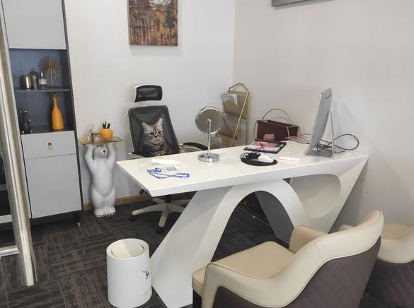 武漢希思特醫(yī)療美容醫(yī)院_咨詢室