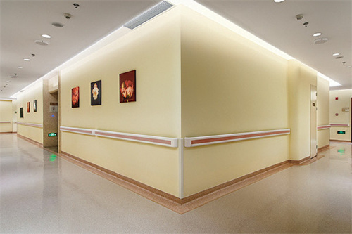 武漢麗比雅醫(yī)療美容醫(yī)院