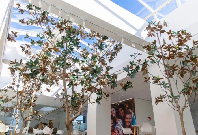 天津海德堡聯(lián)合口腔醫(yī)院