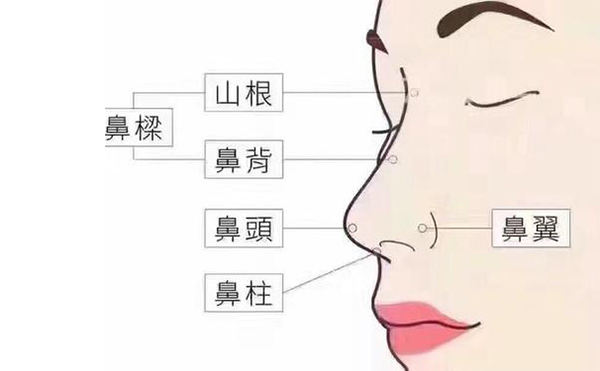 鼻綜合整形和單純隆鼻手術(shù)的區(qū)別在哪里?