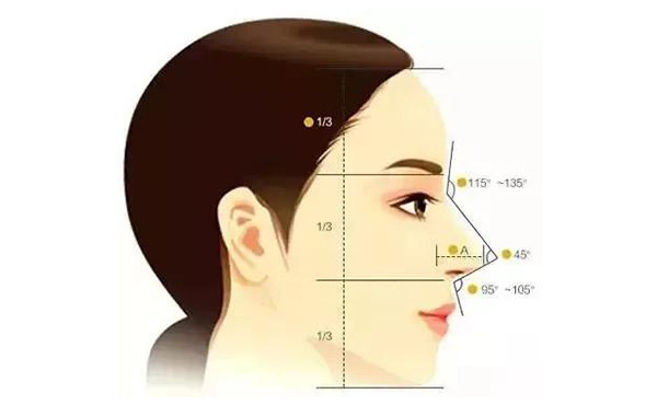 漂亮鼻子的標準
