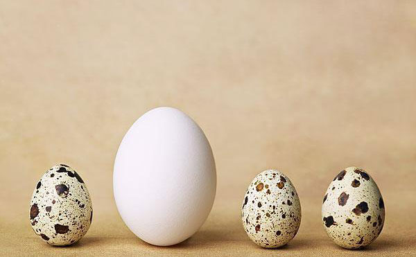 雞蛋祛斑有用嗎？雞蛋祛斑的正確方法？