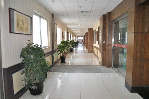 北京衛(wèi)人中醫(yī)醫(yī)院醫(yī)療美容科