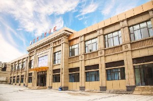 重慶理想口腔醫(yī)院