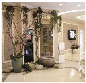 安徽維多利亞整形外科醫(yī)院