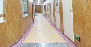 樂山達芬奇醫(yī)療美容門診部